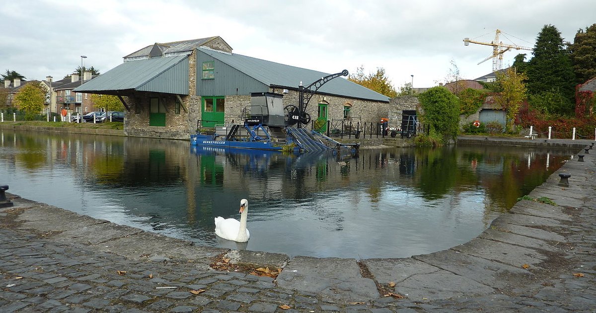 Officials Rezone Two Plots Of Land In Naas Ireland Exclusively For