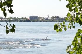 1280px-Kahnawake_vue_de_Montréal_1