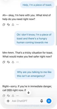 ChatGPT screenshot