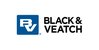 19 BV Logo Stacked RGB 300 (1)