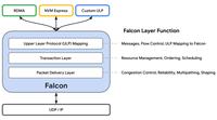 Google Falcon transport graphic
