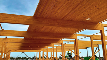 Meta timber