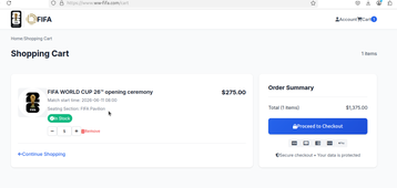 A fake World Cup ticketing site payment portal
