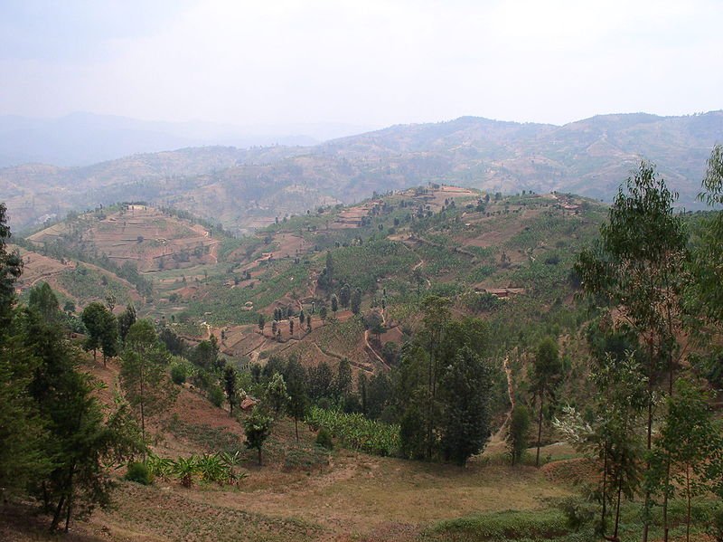 Rwanda, image courtesy of the Creative Commons