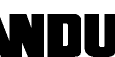 AAWEBpanduit-logo-2024-tm-black