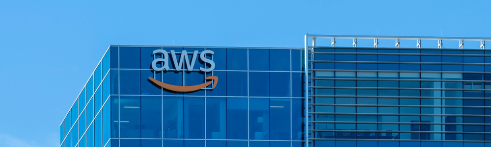 AWS sdx crop
