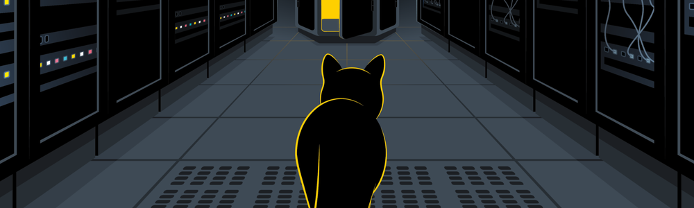 alice bob cat