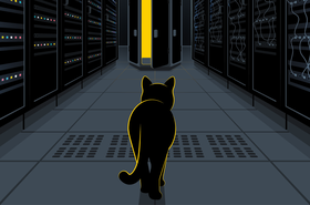 alice bob cat