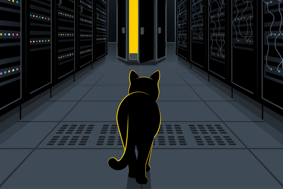 alice bob cat
