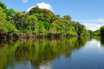 Amazonas2.jpg