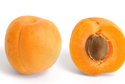 Apricot_and_cross_section.jpg