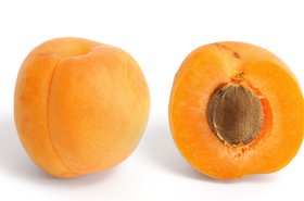 Apricot_and_cross_section.jpg