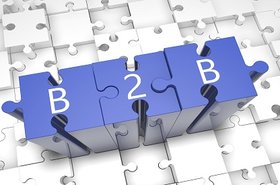 B2Bpuzzleelevated.jpg