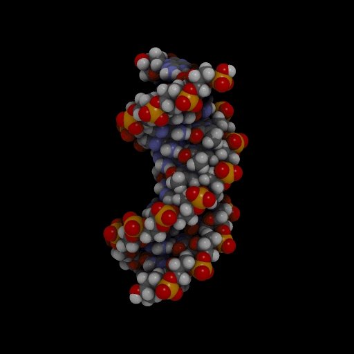 Space-filling model of B-DNA. Source: Wikimedia Commons.