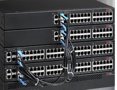 Brocade.jpg