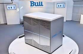 Bull1.jpg