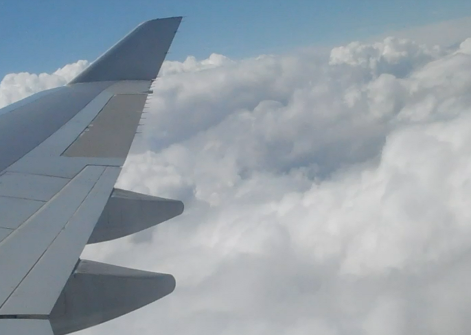 CLoud Wing.PNG