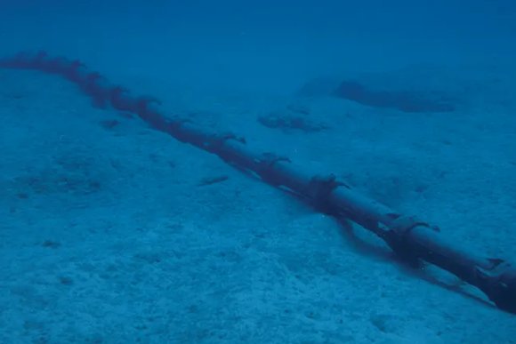 Cable submarino MEO