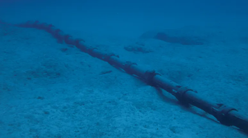 Cable submarino MEO