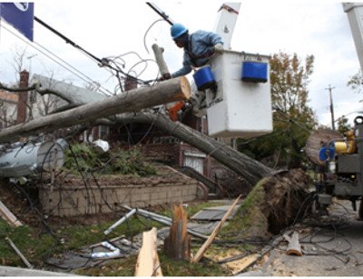 Fallen trees and downed wires in Con EdisonÔÇÖs service territory. Source: ConEd