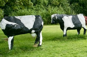 Concrete_cows_©_Derek_Barrett_(30824770756)