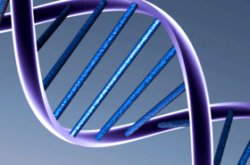 DNA_strand.gif