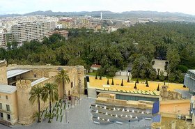 Elche.JPG