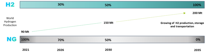 Roadmap of replacement of Natural Gas by Hydrogen in the fuel mix