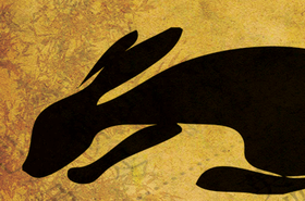 FEATURE_STEPHEN-WORN_CHINESE-YEAR-OF-THE-RABBIT_FOCUS-14.gif