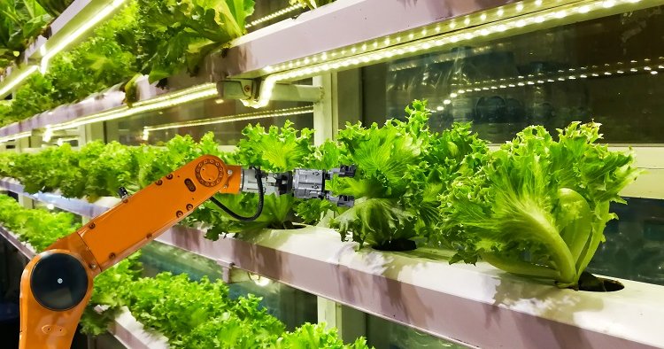 Server farms serving farms: data centers and indoor farming - DCD