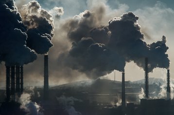 coal