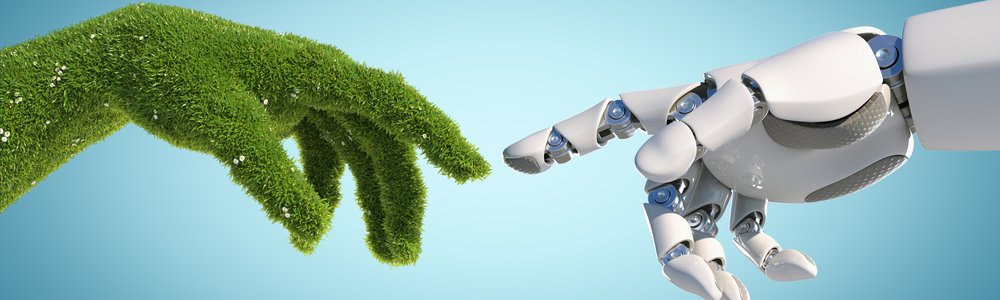 Sustainable AI