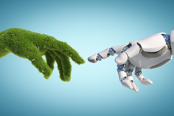 Sustainable AI