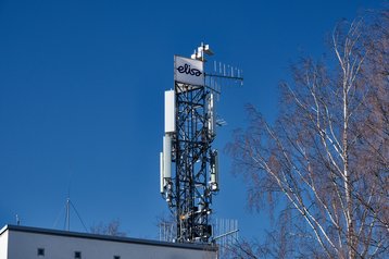 Elisa