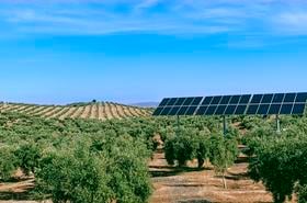 Spain renewable
