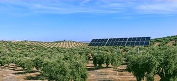 Spain renewable