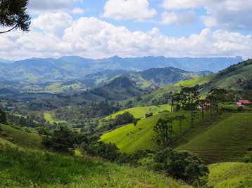 Remote Brazil