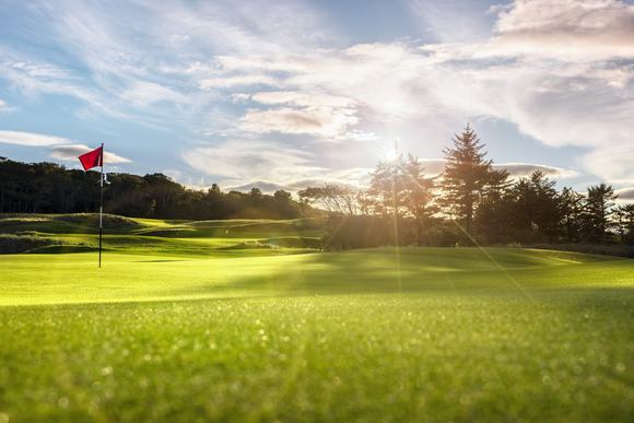 Golf course putting green with flag at sunset