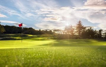 Golf course putting green with flag at sunset