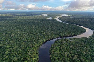 Amazon River