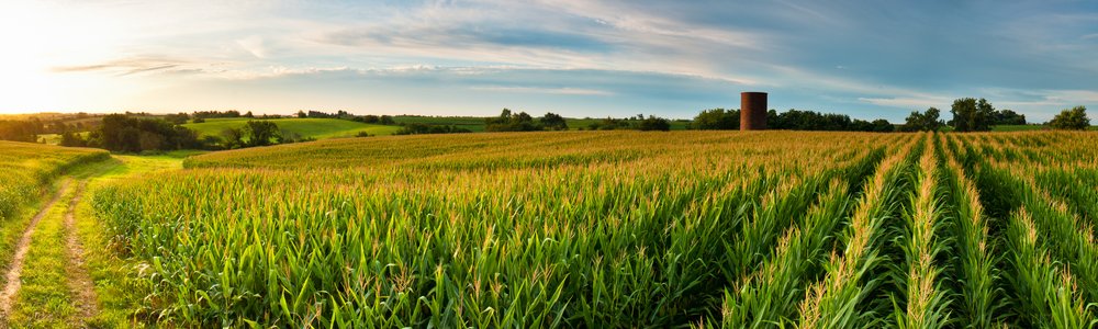 Rural USA