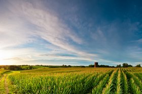 Rural USA