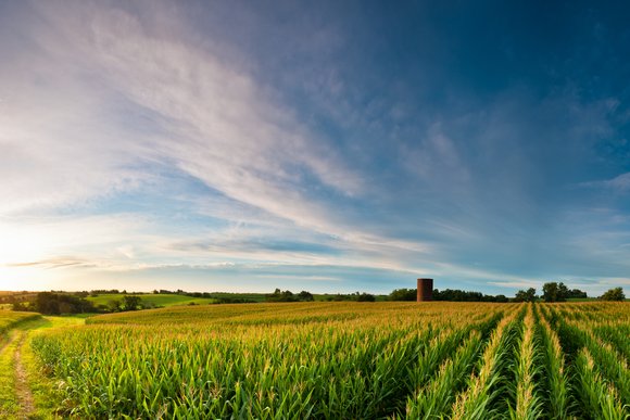 Rural USA