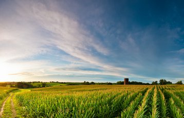 Rural USA