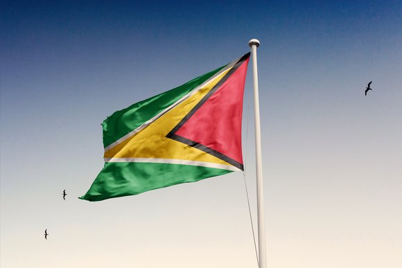 Guyana flag