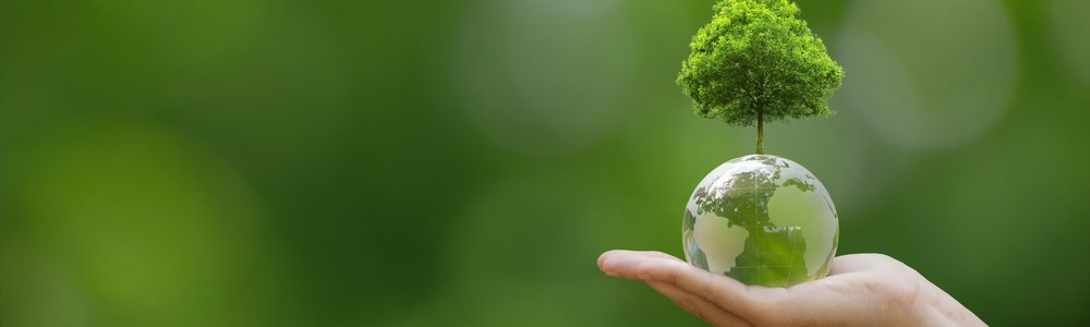 Hand of human holding Crystal globe ball with tree
