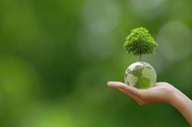Hand of human holding Crystal globe ball with tree