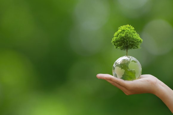 Hand of human holding Crystal globe ball with tree