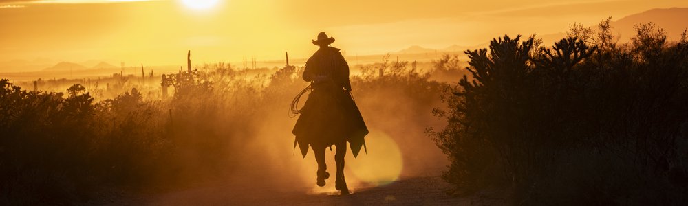 Silhouette of cowboy, riding a horse into the sunset.