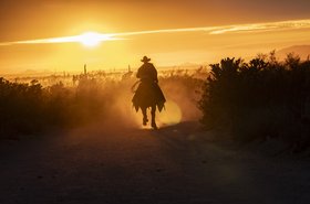Silhouette of cowboy, riding a horse into the sunset.